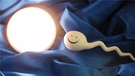 陈若晴 副院长